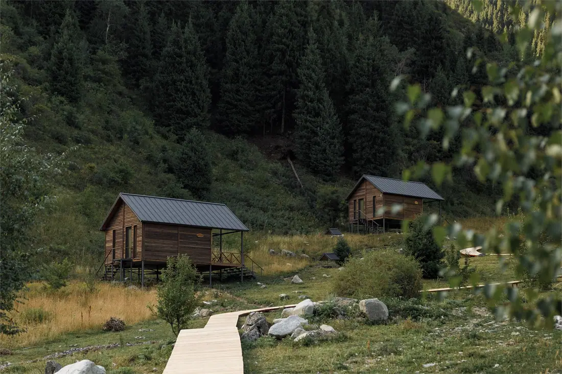 Два lodge среди елей и травы